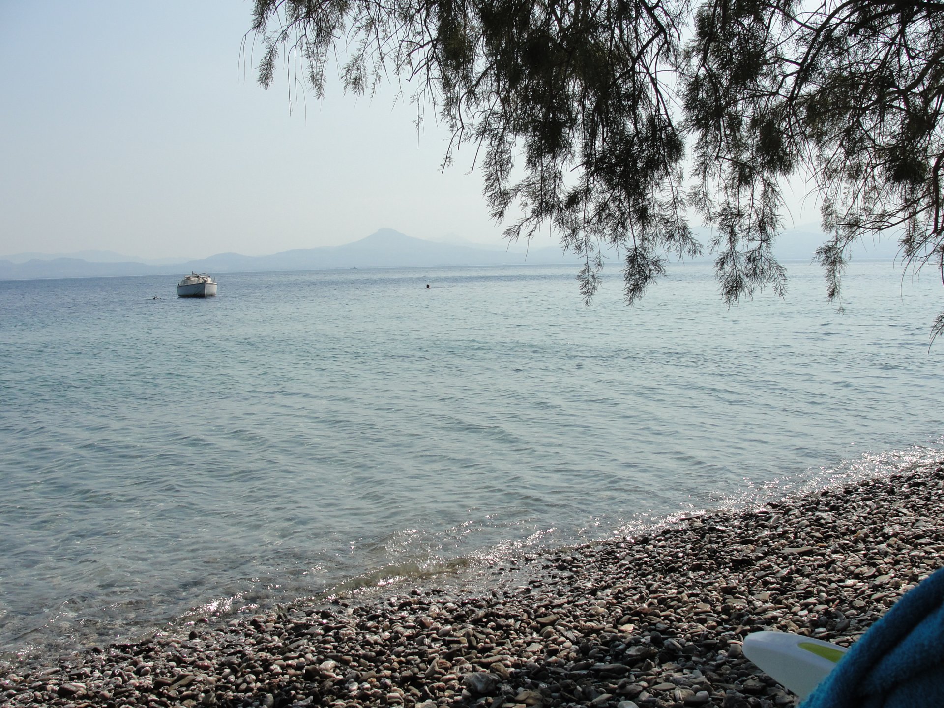 DSC05546.JPG