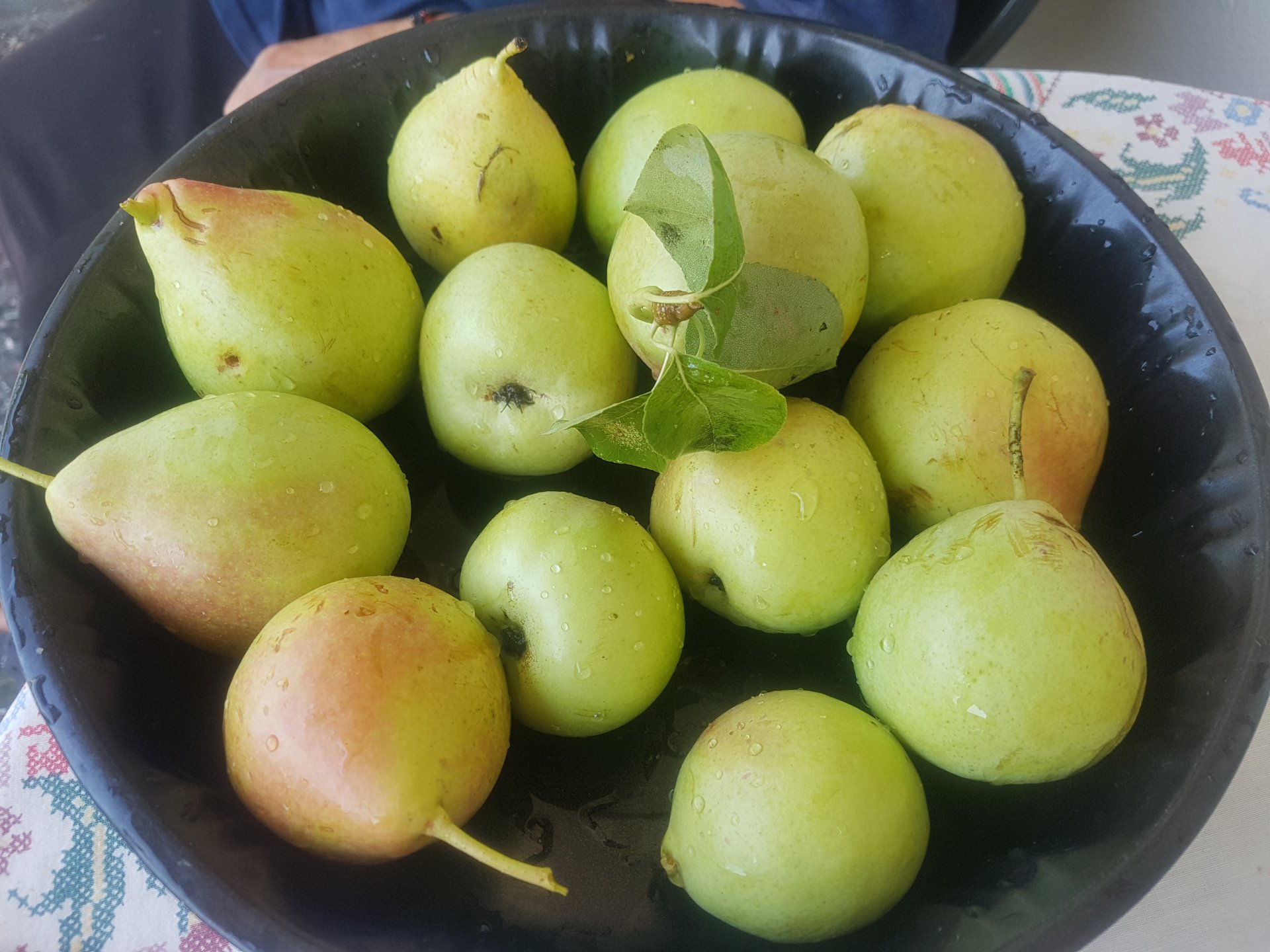 20180902_154404.jpg