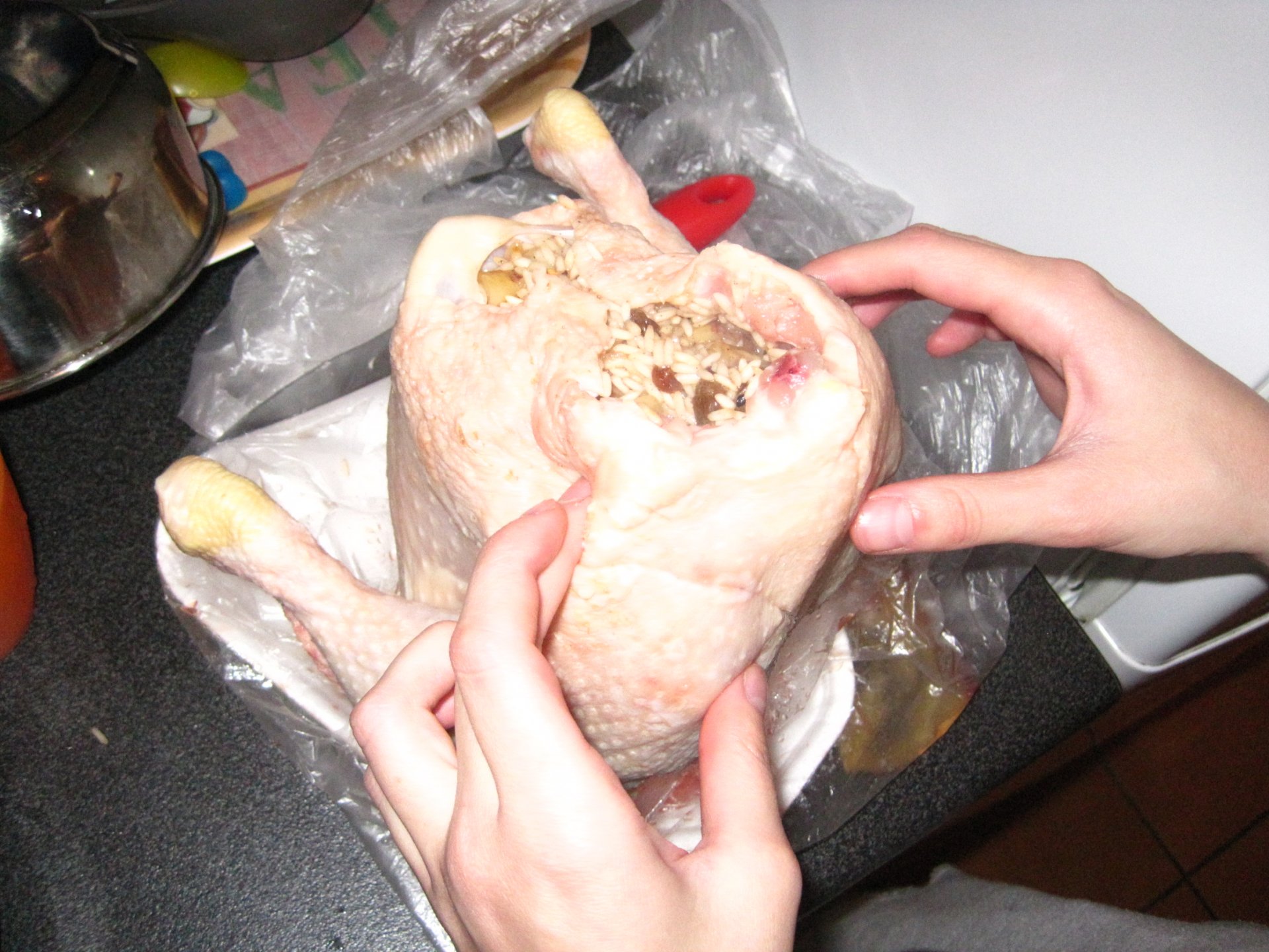 DSC_00100 (300).JPG
