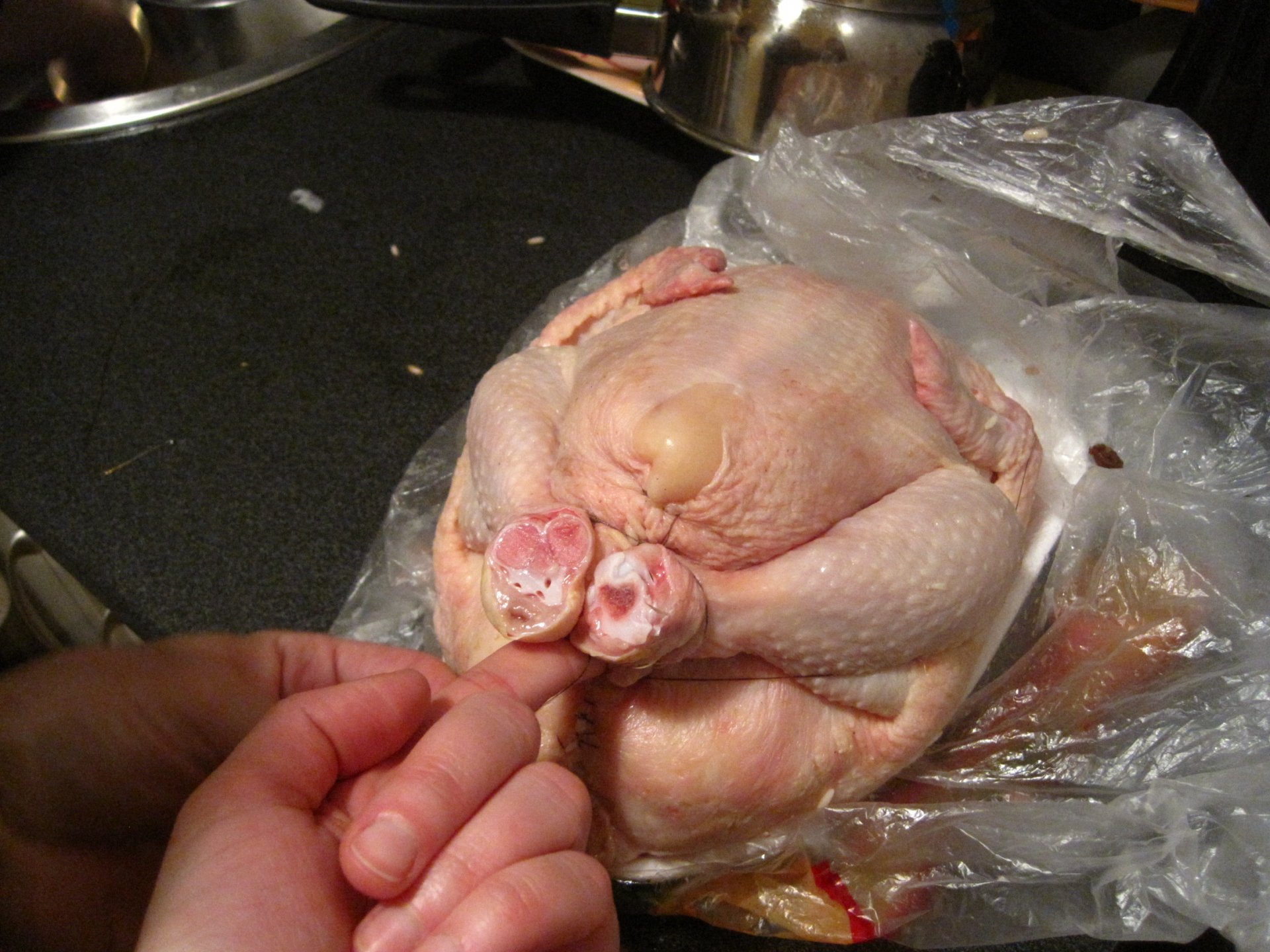 DSC_00100 (303).JPG