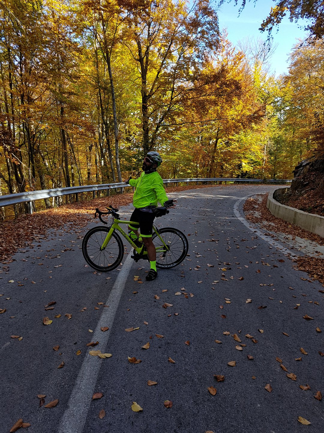 20181028_112815-01.jpeg