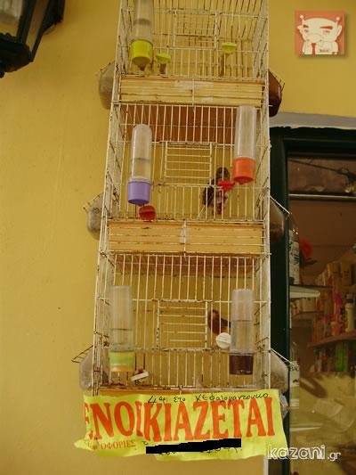 enoikiazetai.jpg