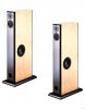 audio_psychic_virgo_loudspeaker_system.jpg