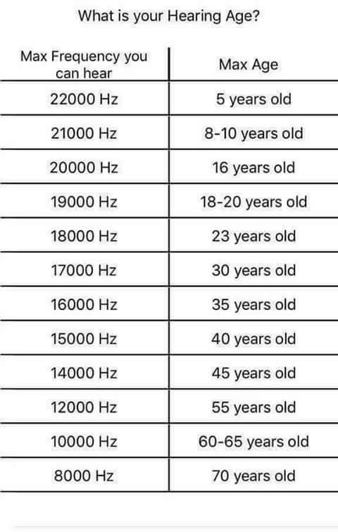 FB_IMG_1544644162752.jpg