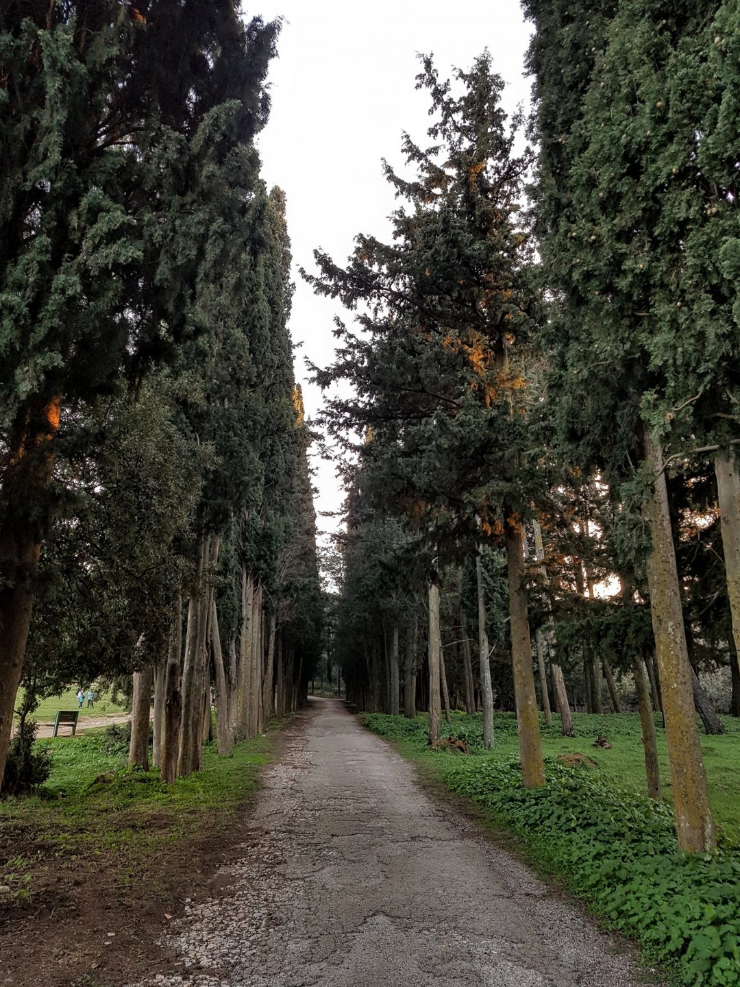 20181229_165156.jpg