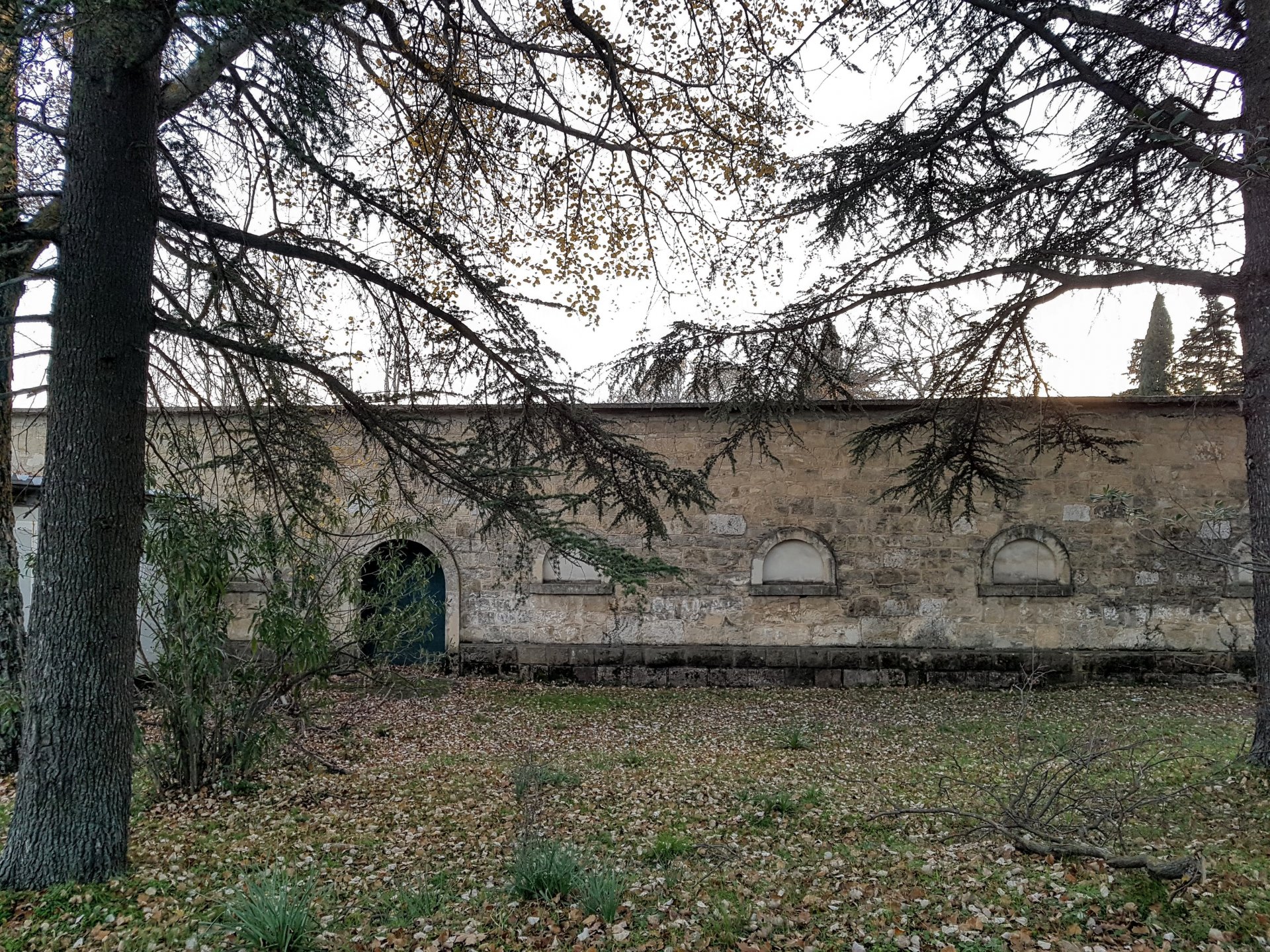 20181229_165949.jpg