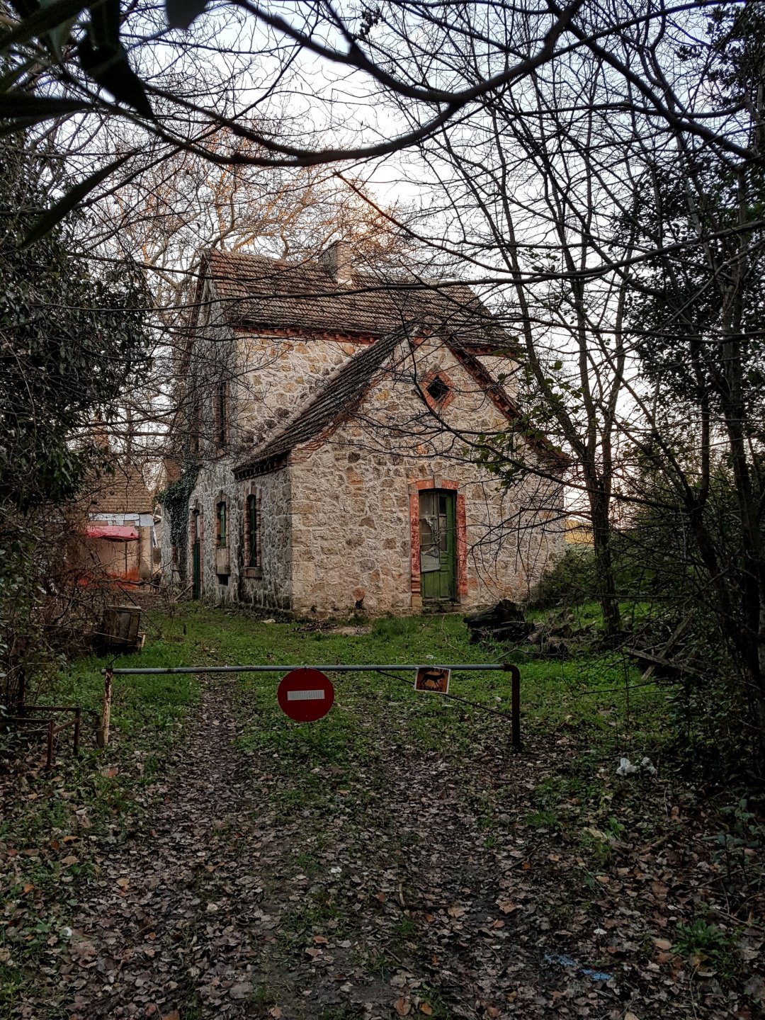 20181229_170052.jpg