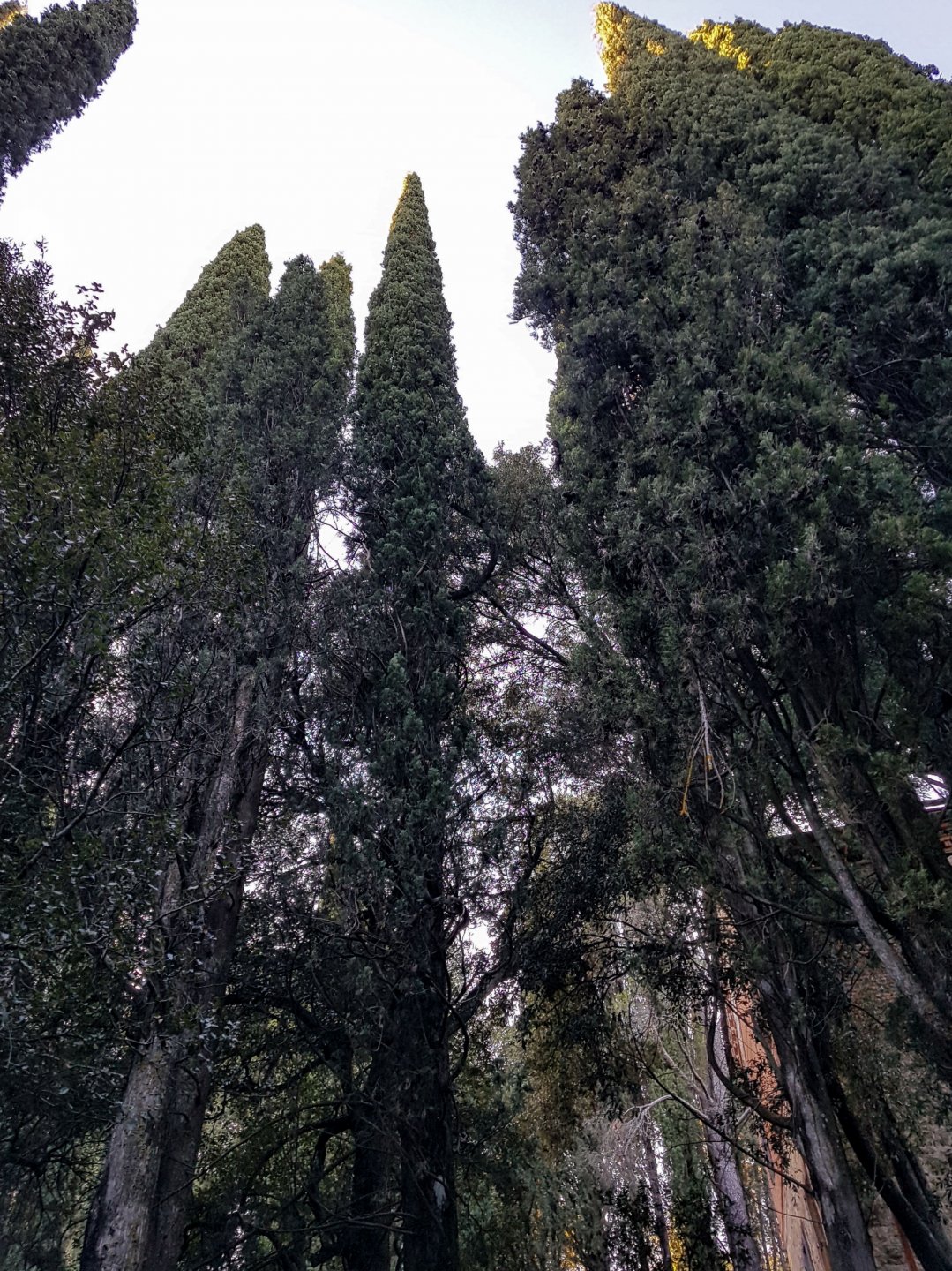 20181229_160927.jpg