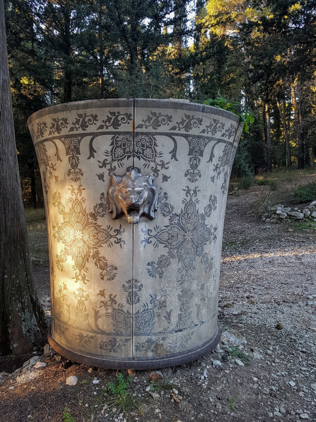 20181229_163134.jpg