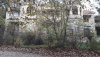 20181125_134954.jpg