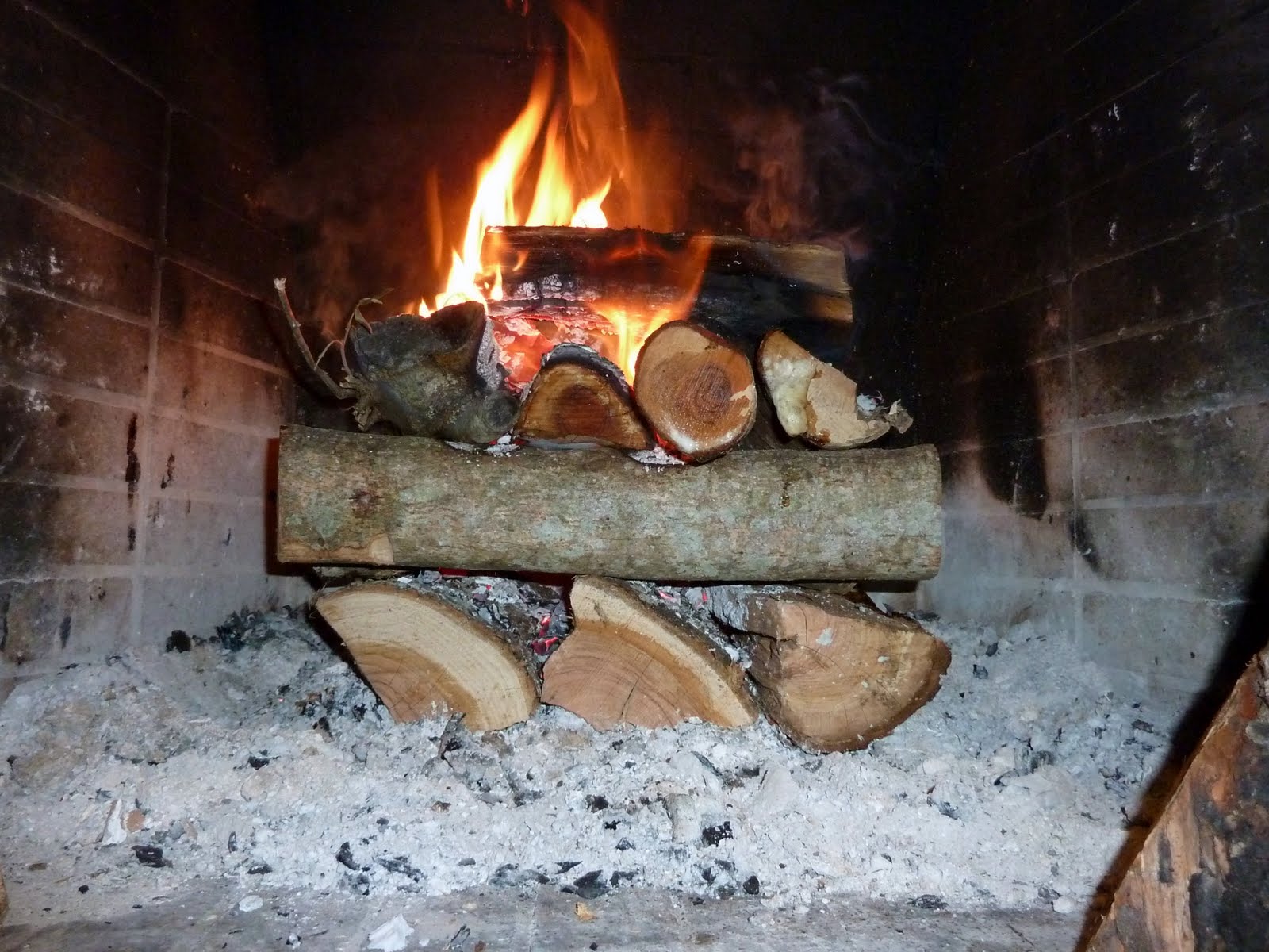 P1010893.JPG