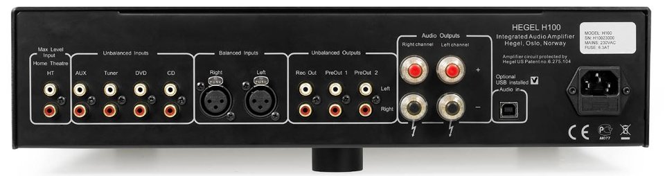 HegelH100-rear.jpg