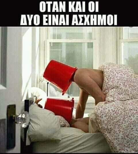 FB_IMG_1550668260919.jpg