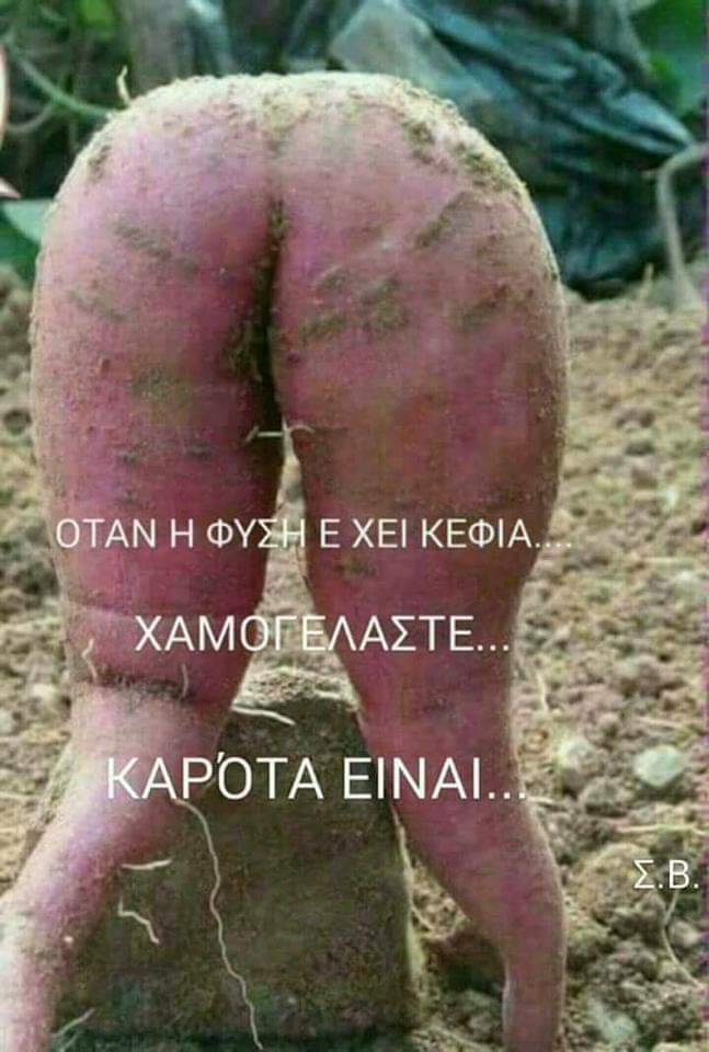 FB_IMG_1551804052602.jpg