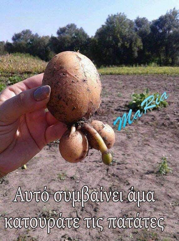 FB_IMG_1551532767638.jpg