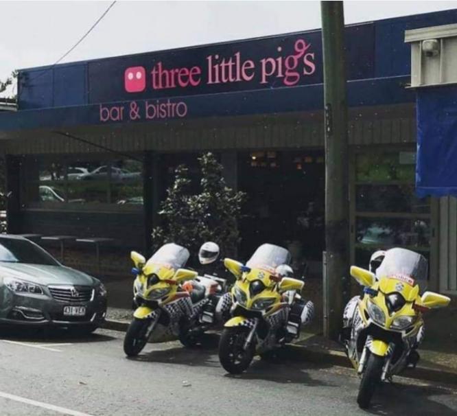 pigs.jpg