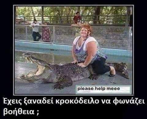 FB_IMG_1554845913682.jpg