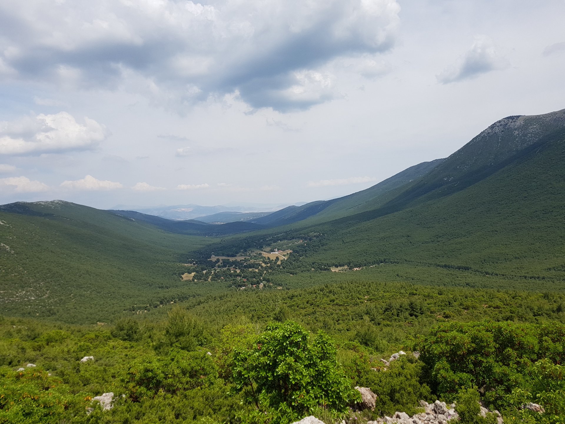 20190601_145854.jpg