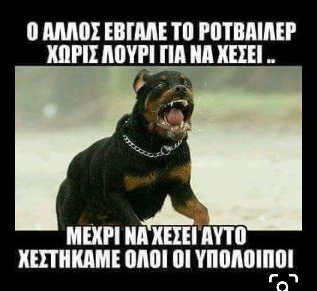 FB_IMG_1559332599309.jpg