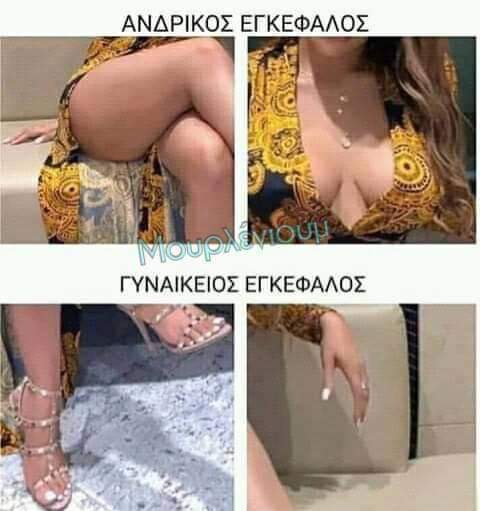 FB_IMG_1557332974775.jpg