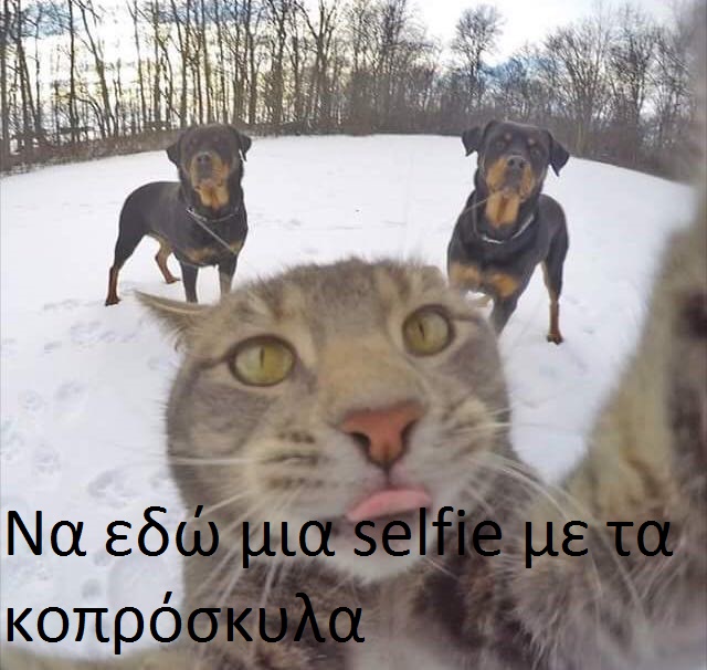 selfi-me-ta-koproskyla.jpg