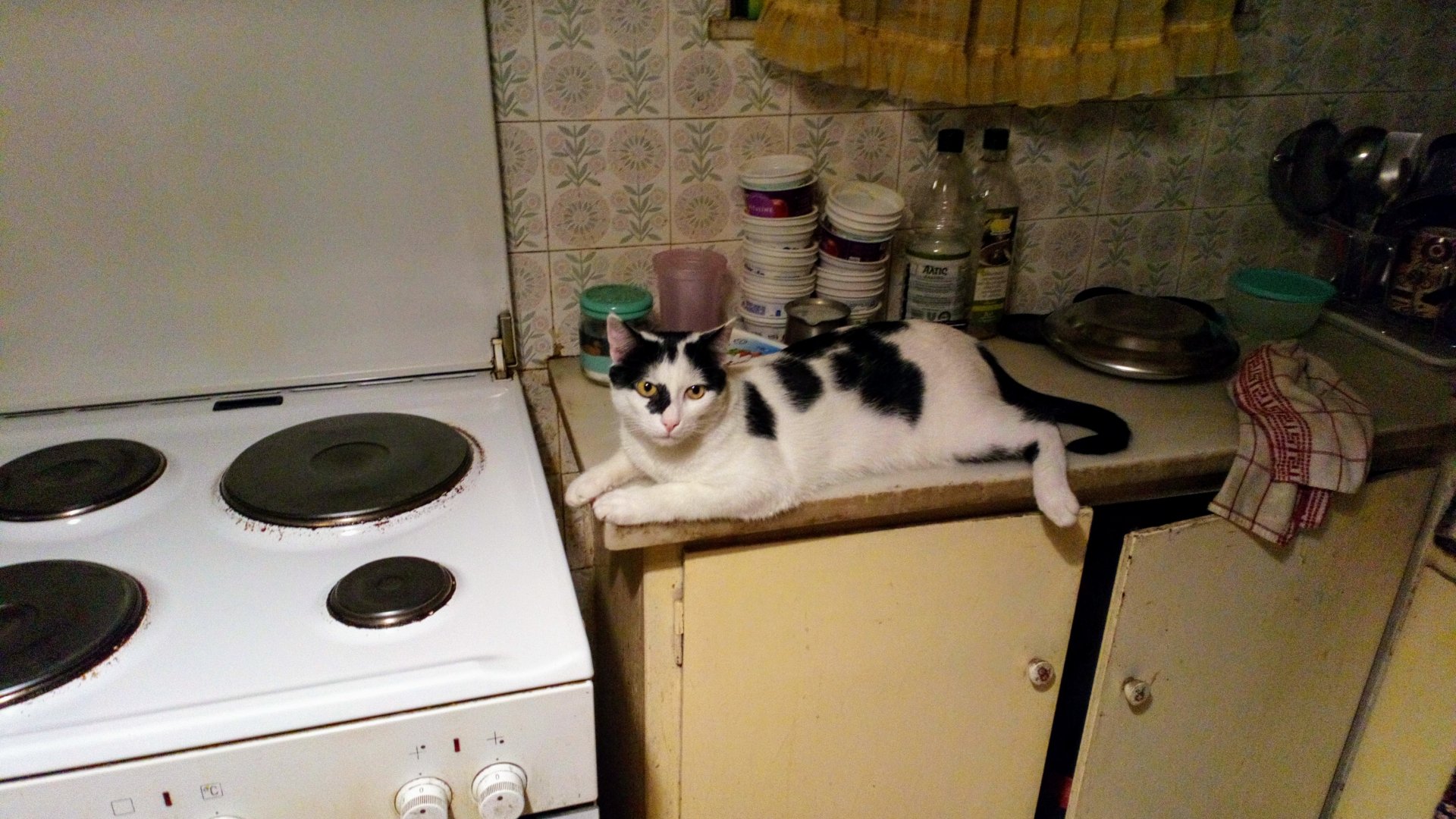 DSC_0212.JPG