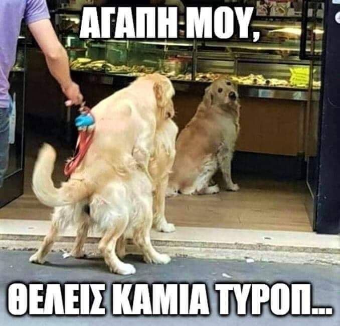 FB_IMG_1561825837709.jpg