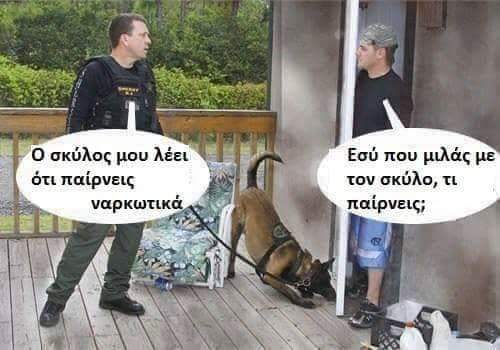 FB_IMG_1561673868945.jpg