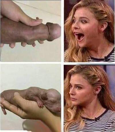 FB_IMG_1556052841301.jpg