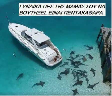 FB_IMG_1562243101400.jpg