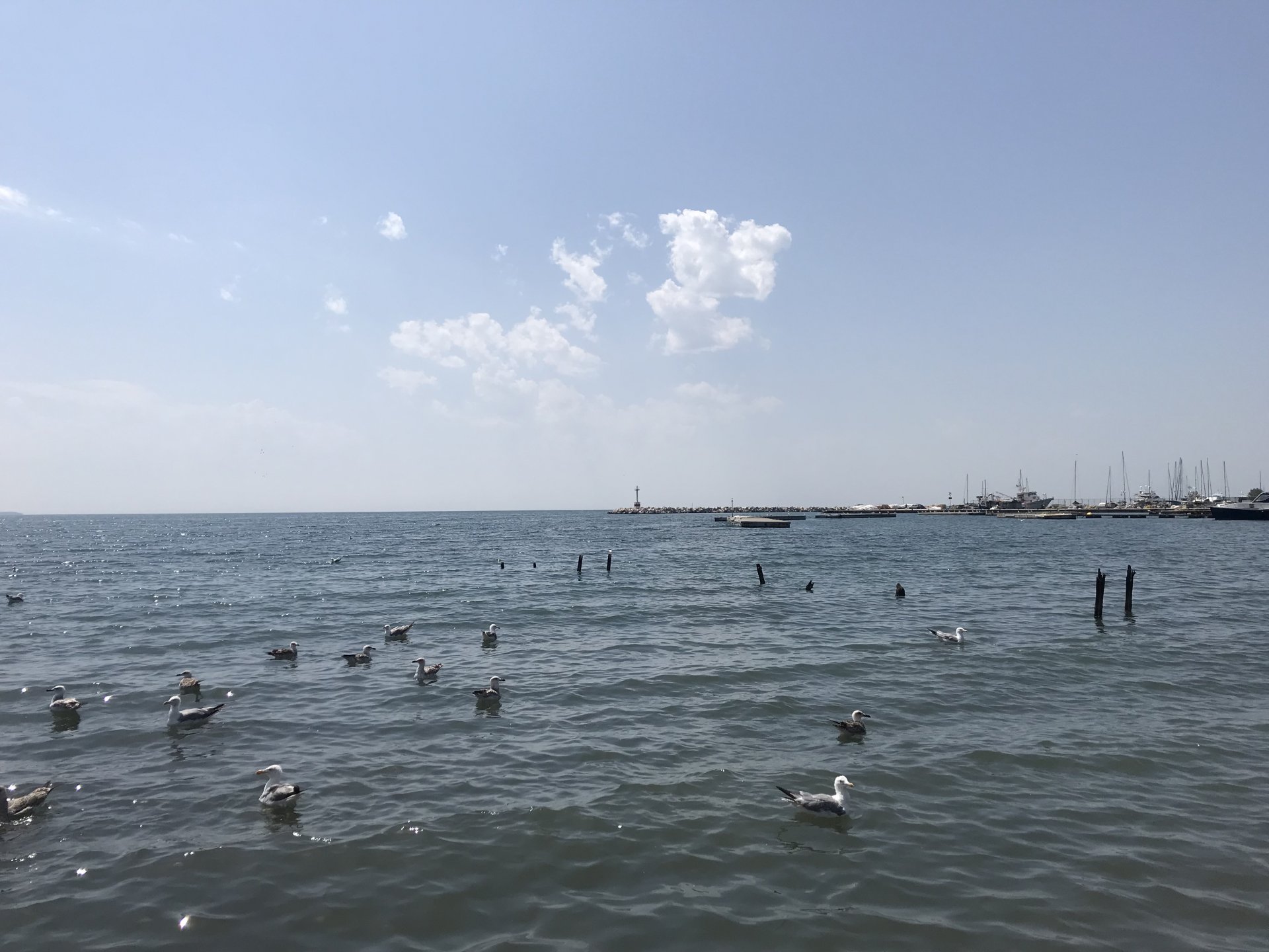 C9D94B97-A9DC-41BA-9C7A-E8D1A446B309.jpeg