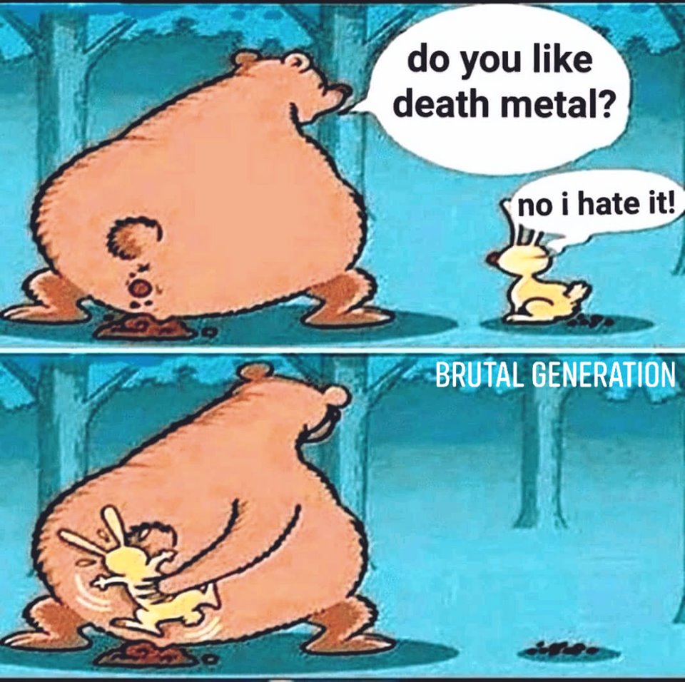 pp.jpg