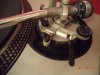 DSC00587.JPG