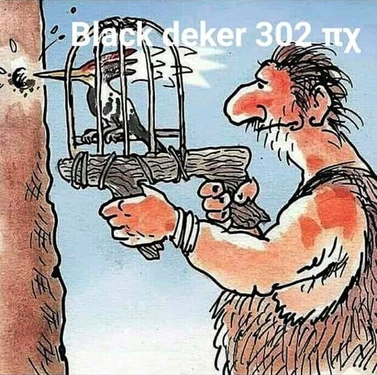τρυποκαρυδο.jpg
