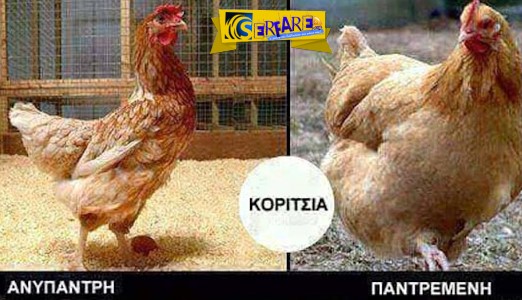 kota-anypantri-pantremeni.jpg