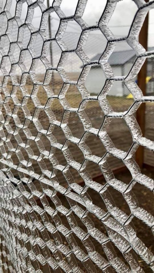 ice fence.jpg