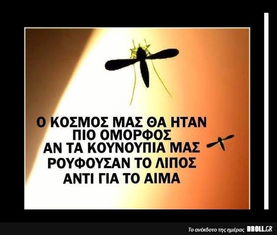 ff90cea77cb229e39f45860232d71ffc.jpg