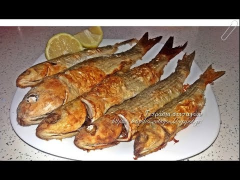 fish.jpg