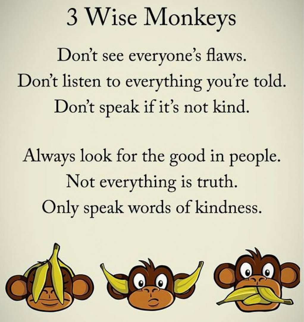 wise monkeys.jpg