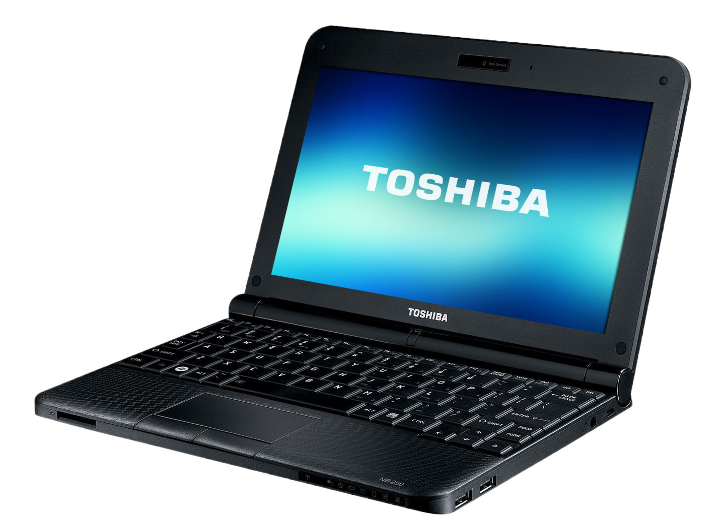 m1703282pp_toshiba-nb250-101-atom-n455-1440.jpg