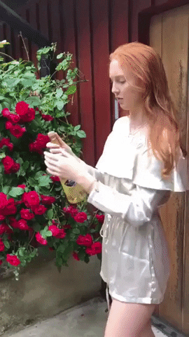 giphy (7).gif