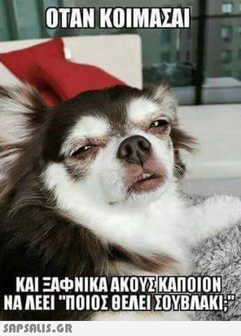 e3f3958bf90742fe6bd16decfcf4a3fe.jpg