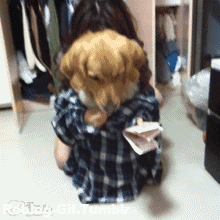 giphy (6).gif