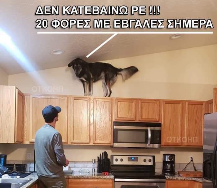 FB_IMG_1584894783804.jpg