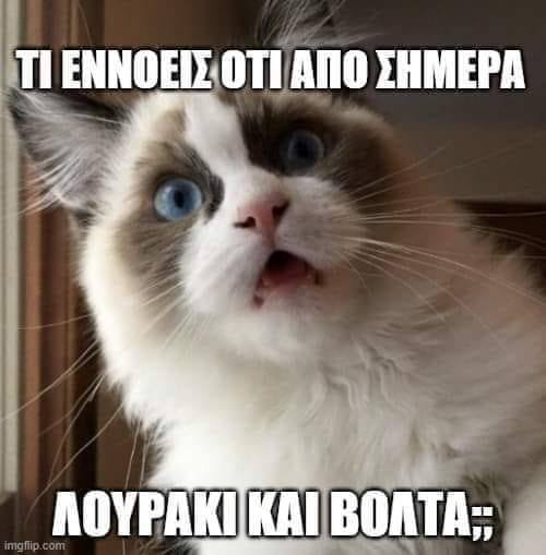 λουρακι γατα.jpg