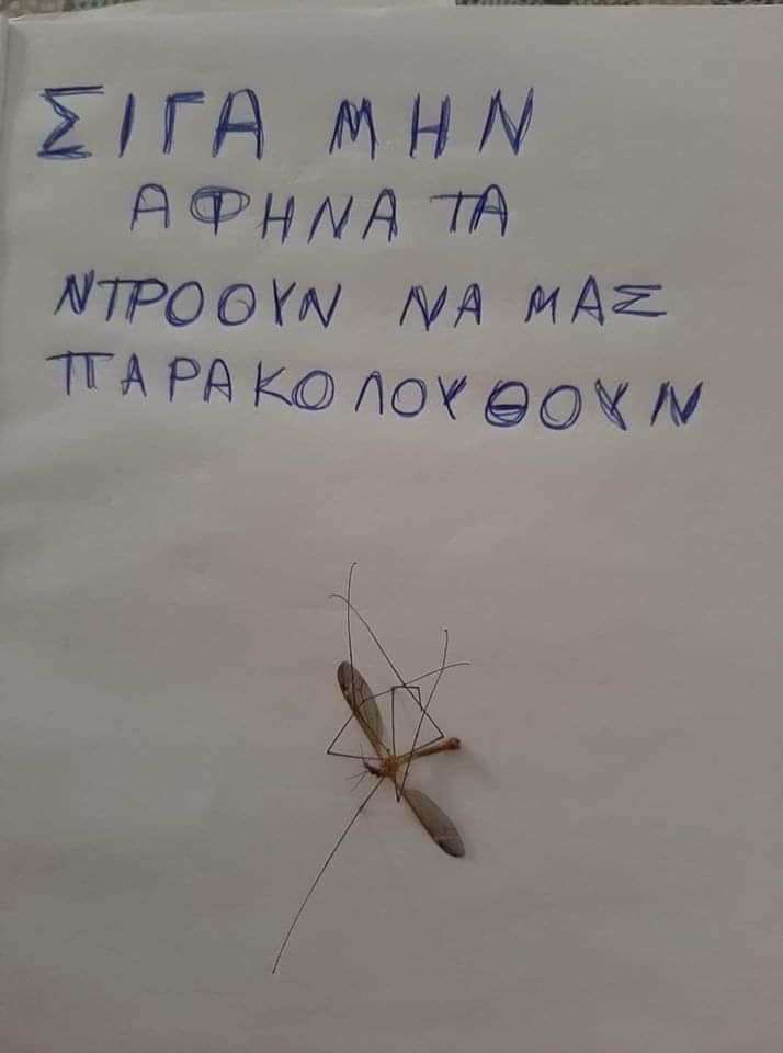 1588722346123.png