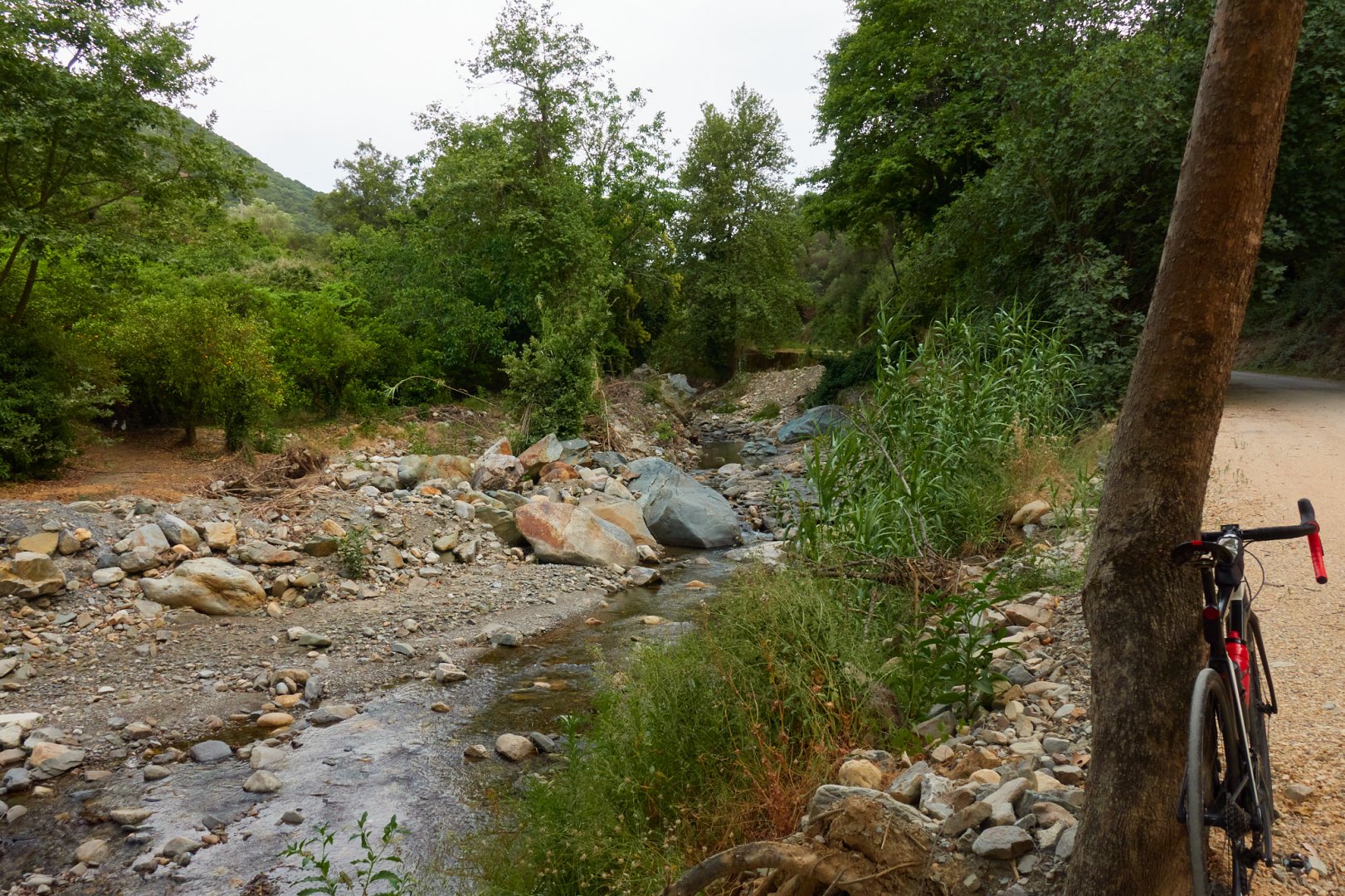 DSC08967.jpg