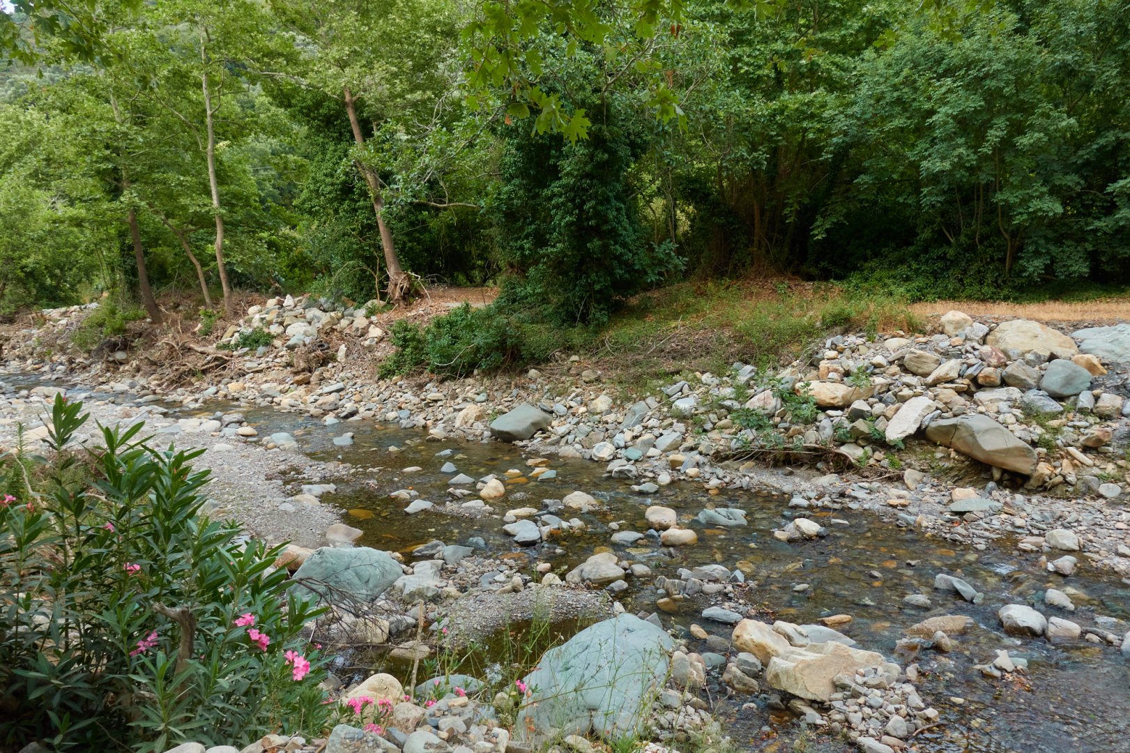 DSC08972.jpg