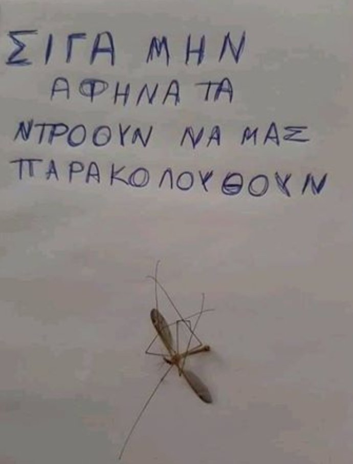 1592788583350.png