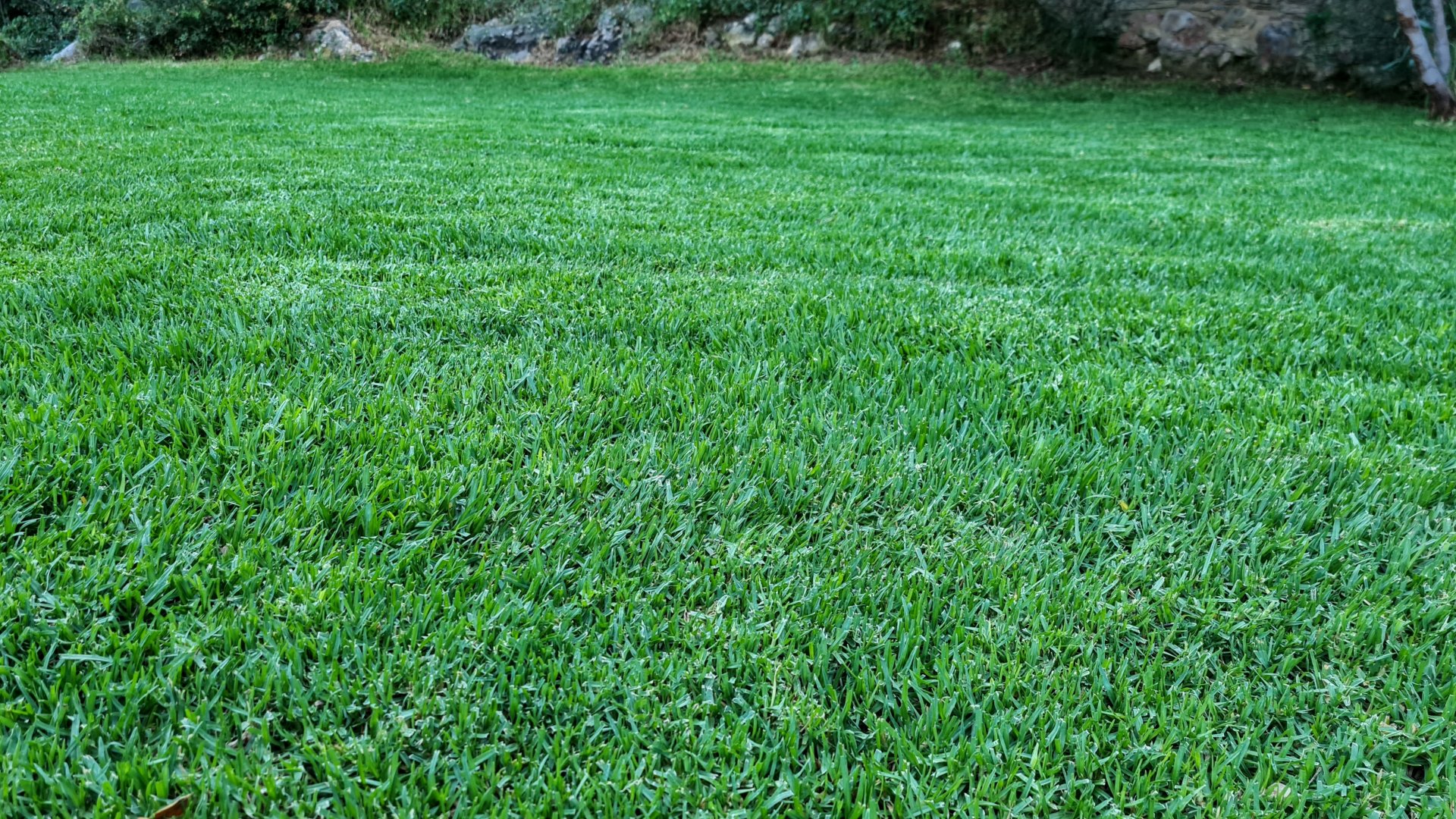 20200623_202249.jpg